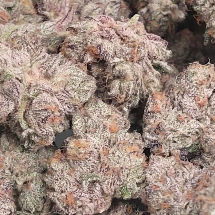 Pic 2 of Ice Cream Wizard from Cannabis Cartel