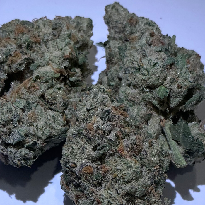 GSC5 Clint