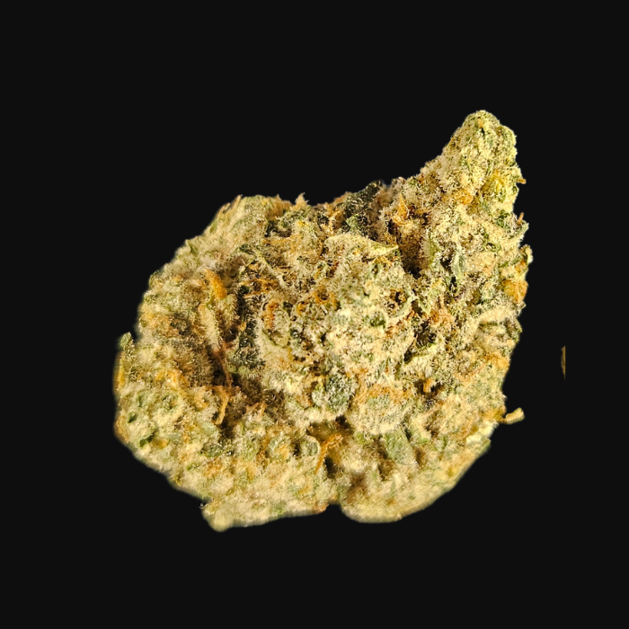 Motorbreath package (2)